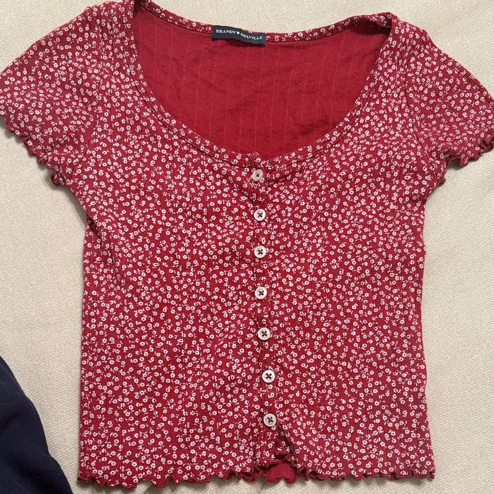 Brandy Melville Red Floral Crop Top
